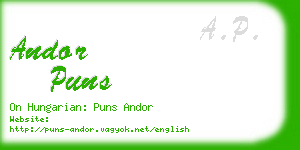 andor puns business card